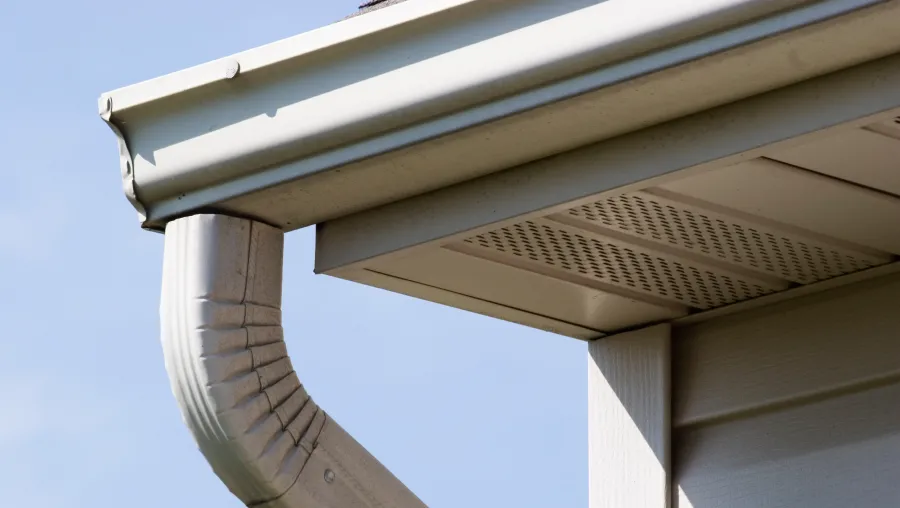 Fascia Repair Fascia Repair